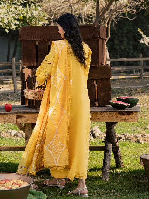 SQU-02 | 3 PC LAWN
