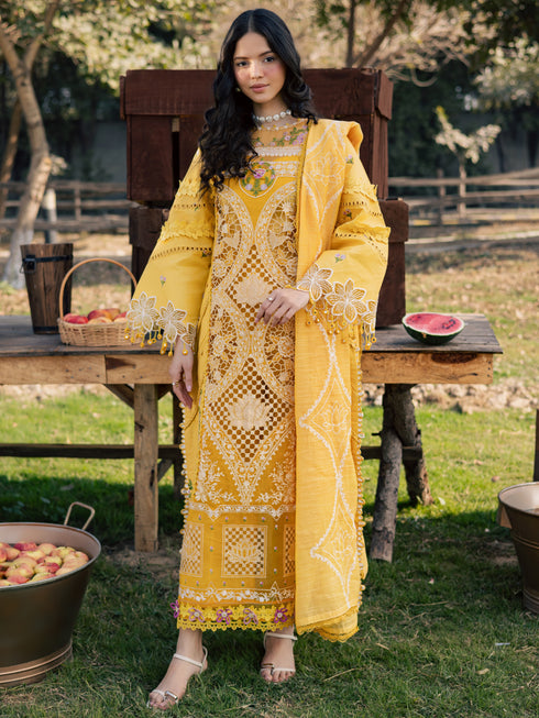 SQU-02 | 3 PC LAWN