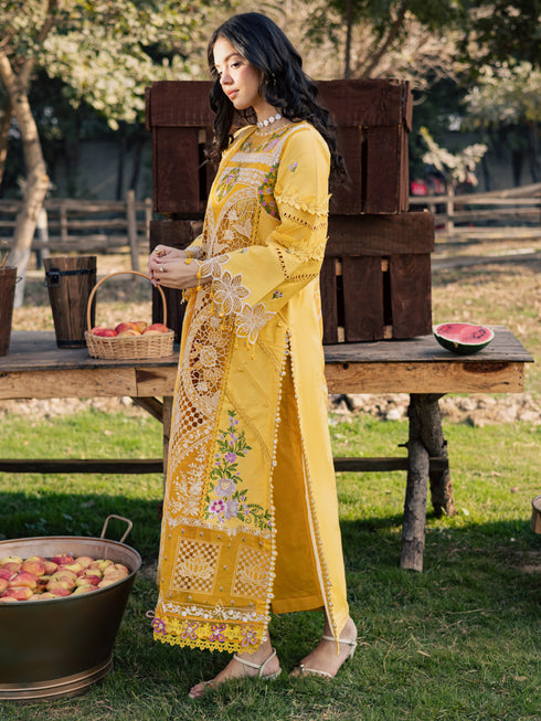 SQU-02 | 3 PC LAWN