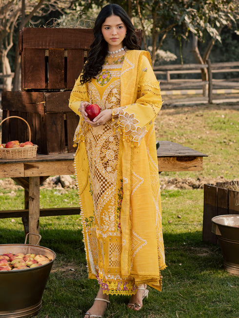 SQU-02 | 3 PC LAWN