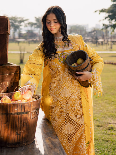 SQU-02 | 3 PC LAWN