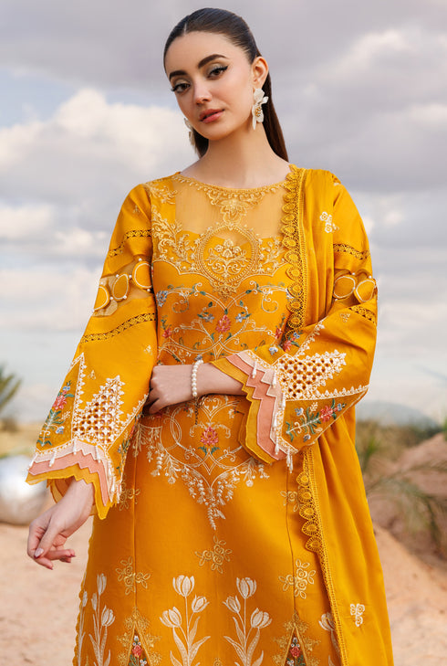 ANG-02 | 3 PC LAWN