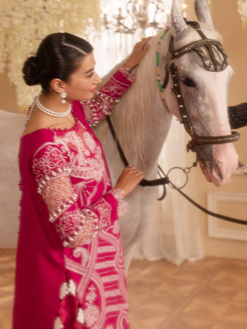 PN-09 | 3 PC Khaddar