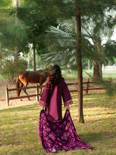 PNE-04 | 3 PC Winter