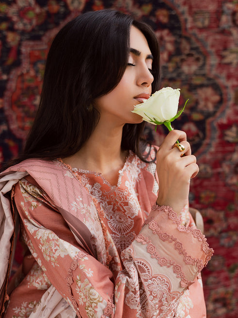 SAR-03 | 3 PC Khaddar