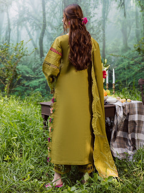 WW - 05 | 3 PC Khaddar