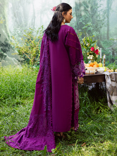 WW - 06 | 3 PC Khaddar