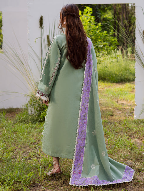 WW - 09 | 3 PC Khaddar