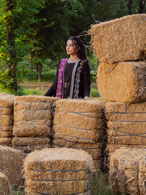 WW - 14 | 3 PC Khaddar